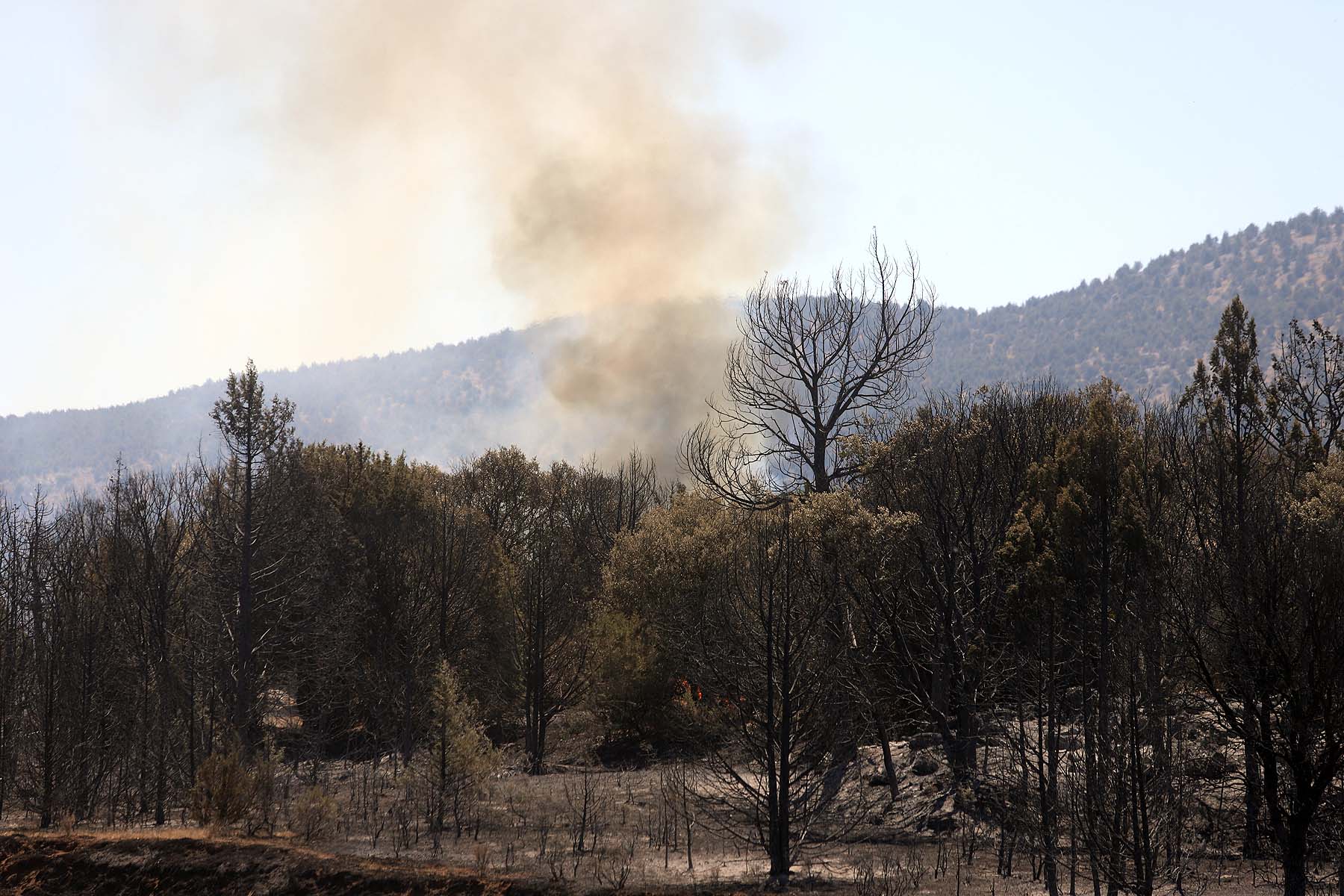 Fotos: El fuego arrasa la comarca del Arlanza