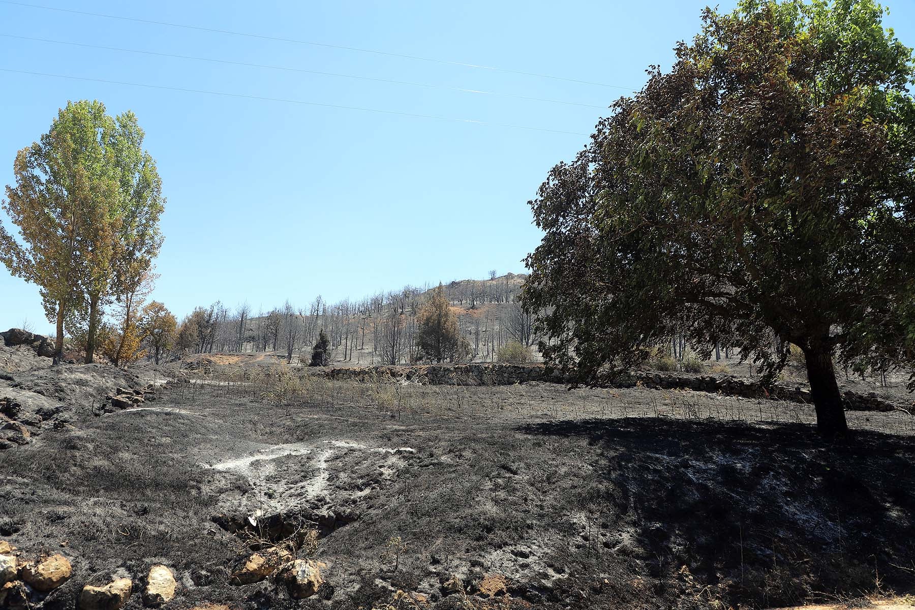 Fotos: El fuego arrasa la comarca del Arlanza