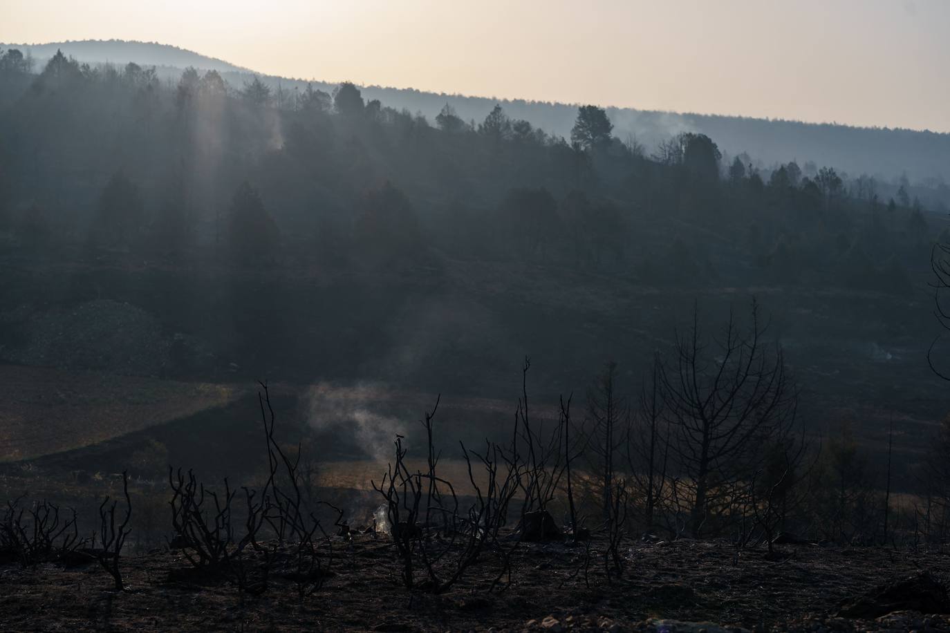 Fotos: El fuego arrasa parte de Santibáñez del Val