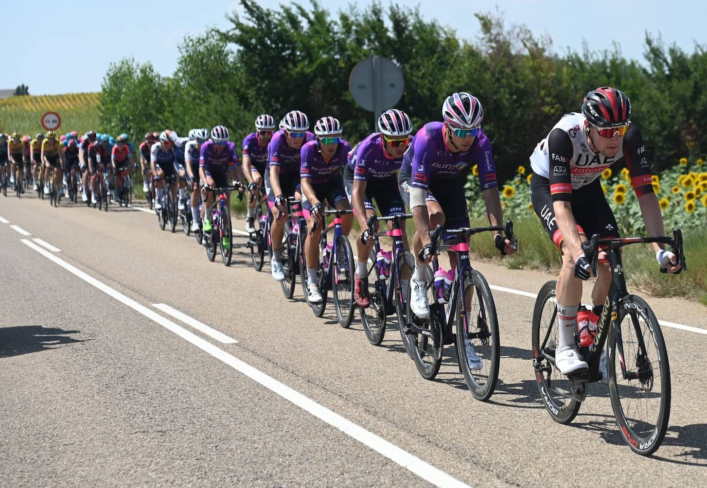 Imágenes de la segunda etapta de la Vuelta a Burgos entre Vivar del Cid y Villadiego