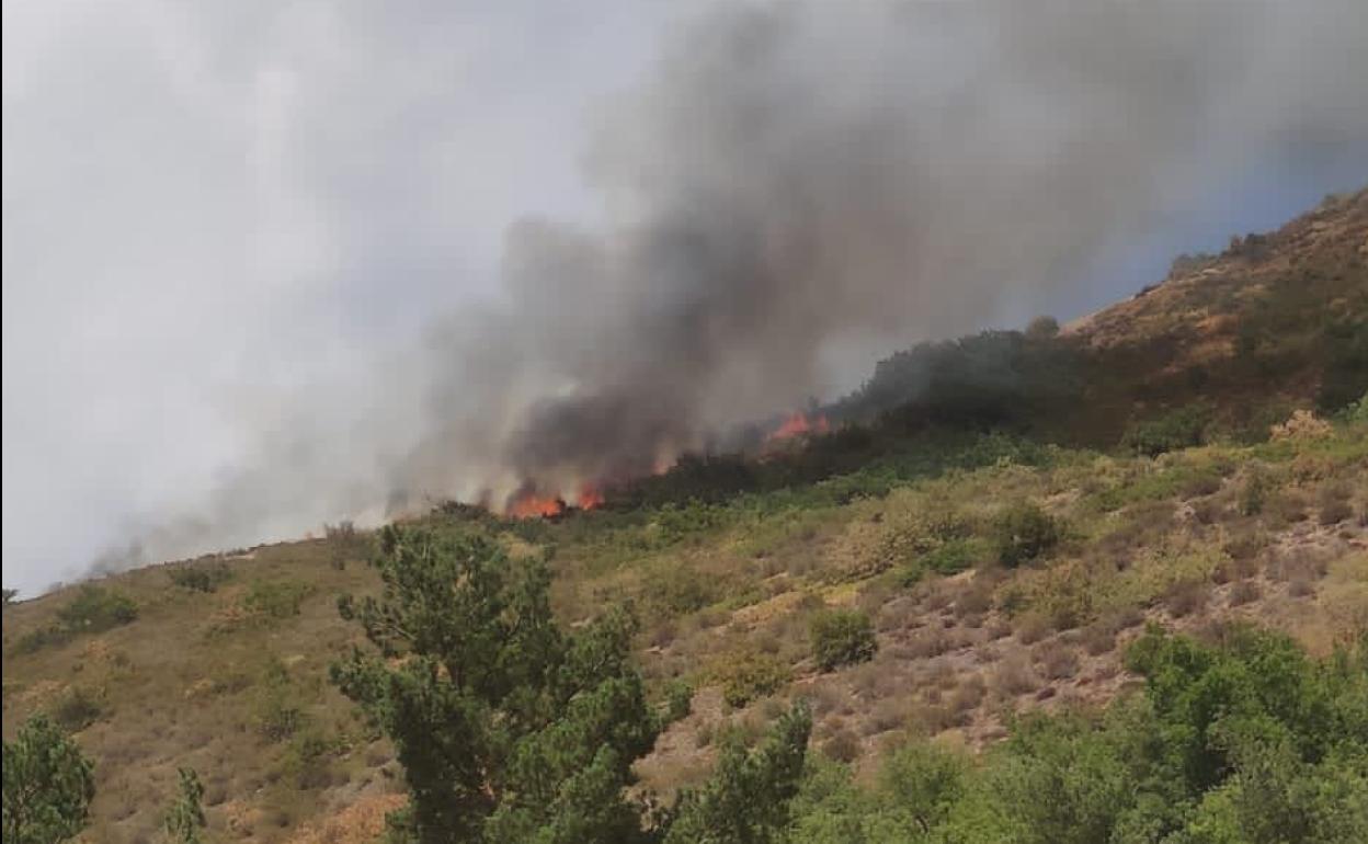 Imagen del incendio en Pineda de la Sierra. 