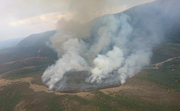 Controlado el incendio de Pineda de la Sierra, que ha calcinado 35 hectáreas