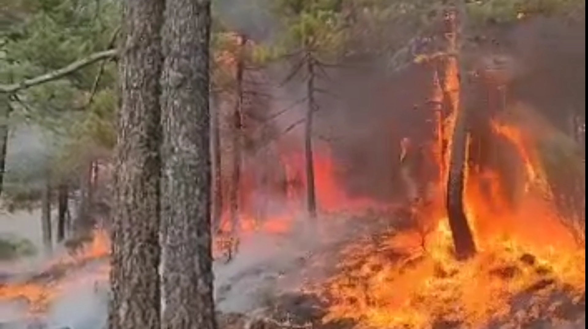 El incendio de Santa Cruz del Valle Urbión sigue activo