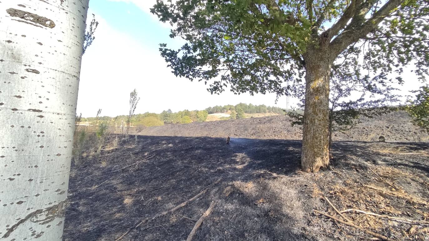 Tierra quemada en el cerro de San Miguel tras el incendio de Fuentecillas