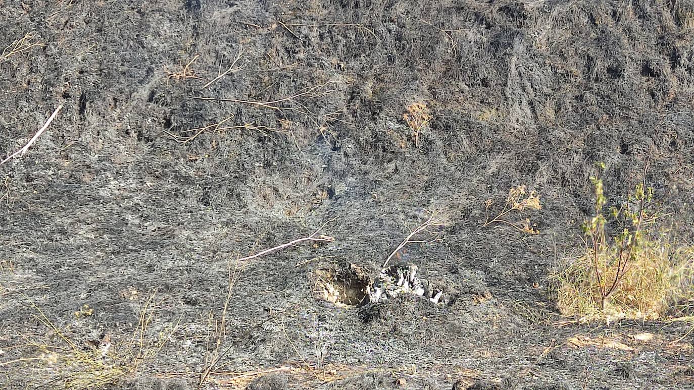 Tierra quemada en el cerro de San Miguel tras el incendio de Fuentecillas