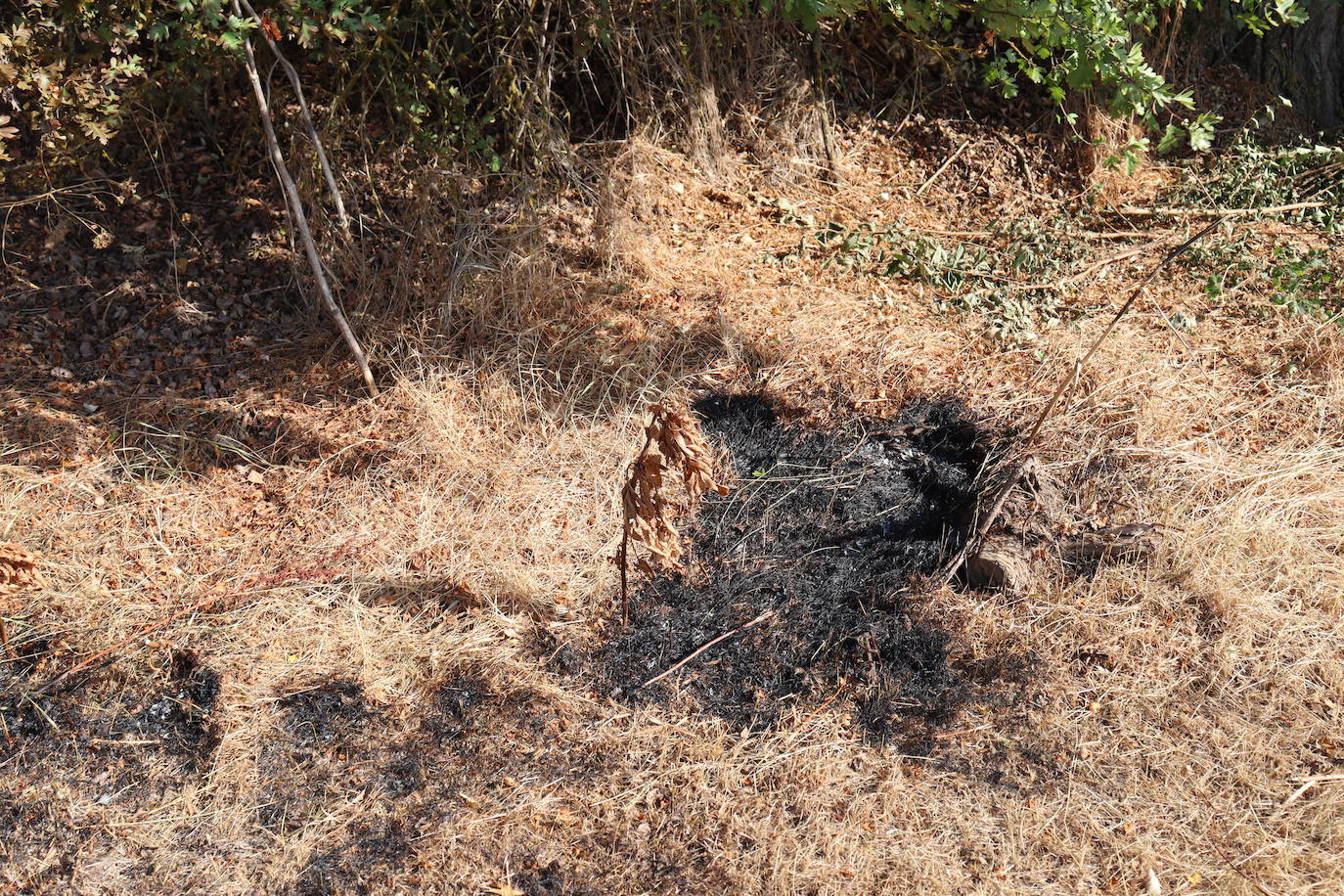 Tierra quemada en el cerro de San Miguel tras el incendio de Fuentecillas