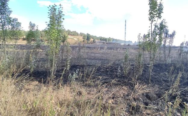 Galería. Campo quemado en el cerro de San Miguel