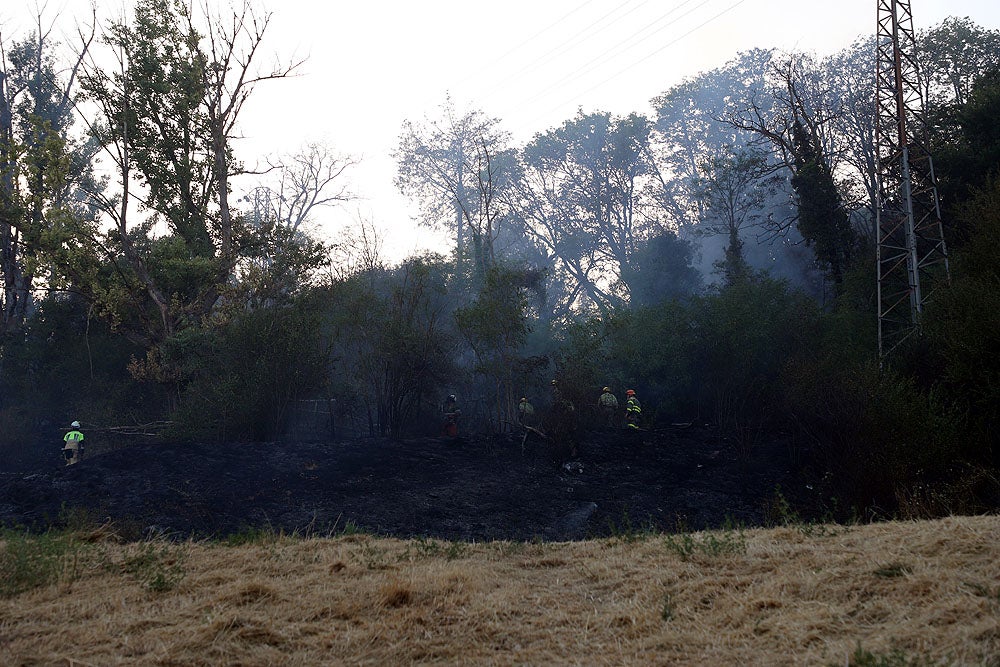 Fotos: Incendio en el Parque del Castillo de Burgos