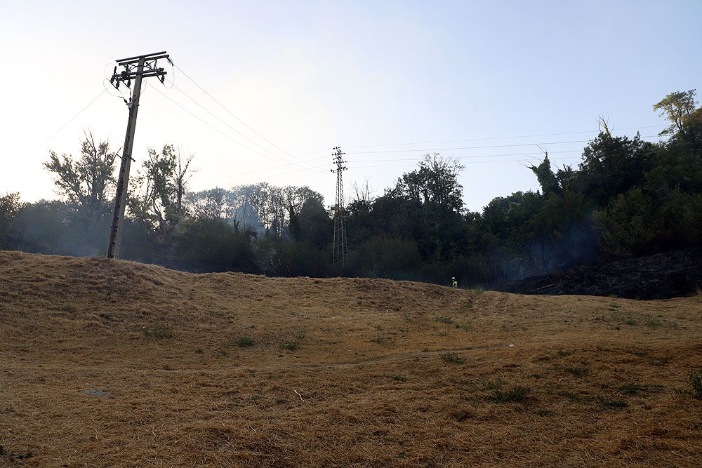 Fotos: Incendio en el Parque del Castillo de Burgos