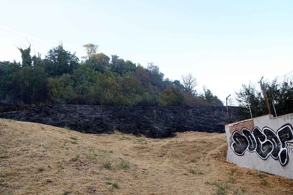 Fotos: Incendio en el Parque del Castillo de Burgos