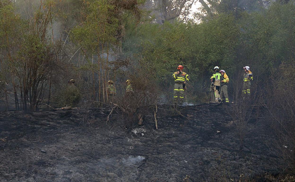 Los Bomberos refrescan el terreno para evitar posibles reactivaciones en el cerro del Castillo de Burgos