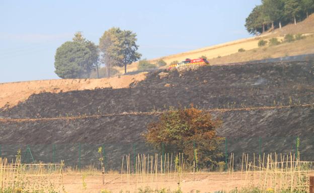 Blasco pide un contrato para el mantenimiento del cinturón verde y labores de reforestación 