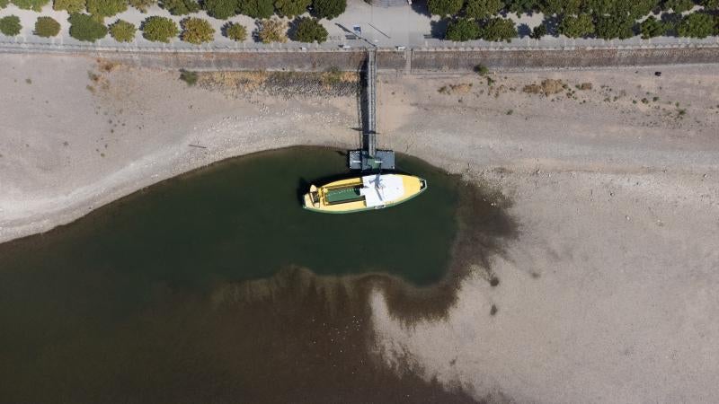 Un pequeño ferry turístico permanece anclado en Rheinnixe (Alemania), atrapado en una pequeña balsa de agua mientras el río ha desaparecido a su alrededor. REUTERS/