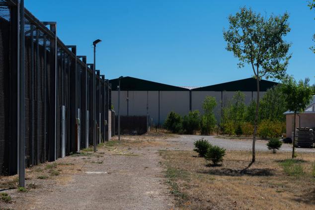 Fotos: Los pacientes más habituales del Centro de Conservación de Animales Silvestres de Burgos son aves