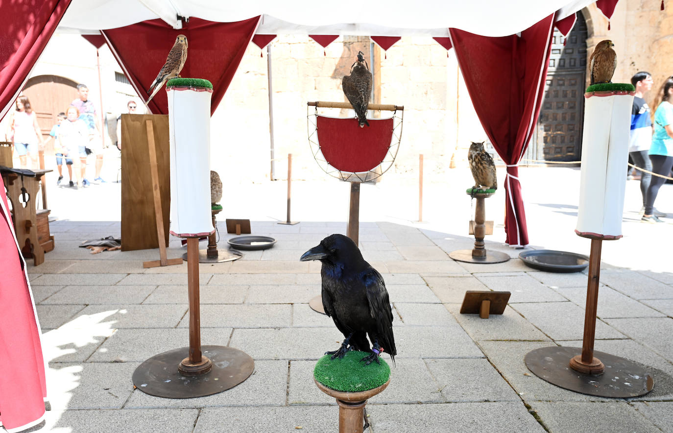 Fotos: Fiesta en honor al dios Baco en Baños de Valdearados (Burgos)