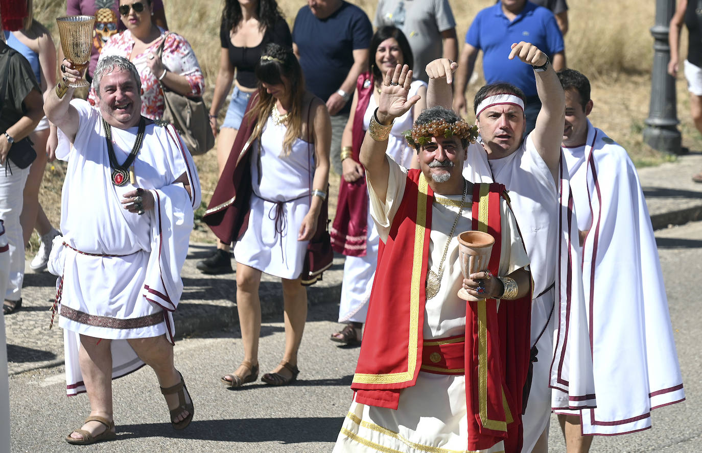 Fotos: Fiesta en honor al dios Baco en Baños de Valdearados (Burgos)