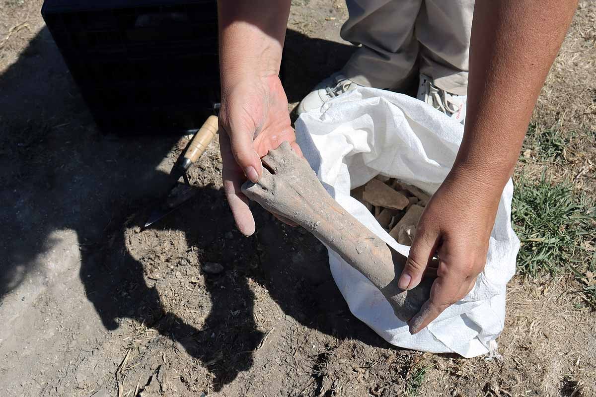 Fotos: Comienza el análisis de los restos arqueológicos hallados en el desprendimiento de la calle Murallas