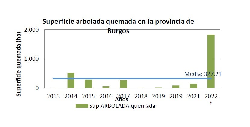 Superficie arbolada quemada en Burgos en la última década. 