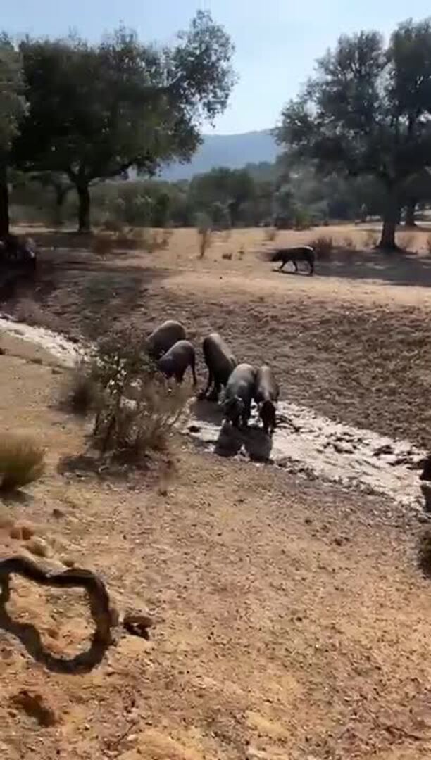 El tiempo de esta semana, del 29 de agosto al 4 de septiembre