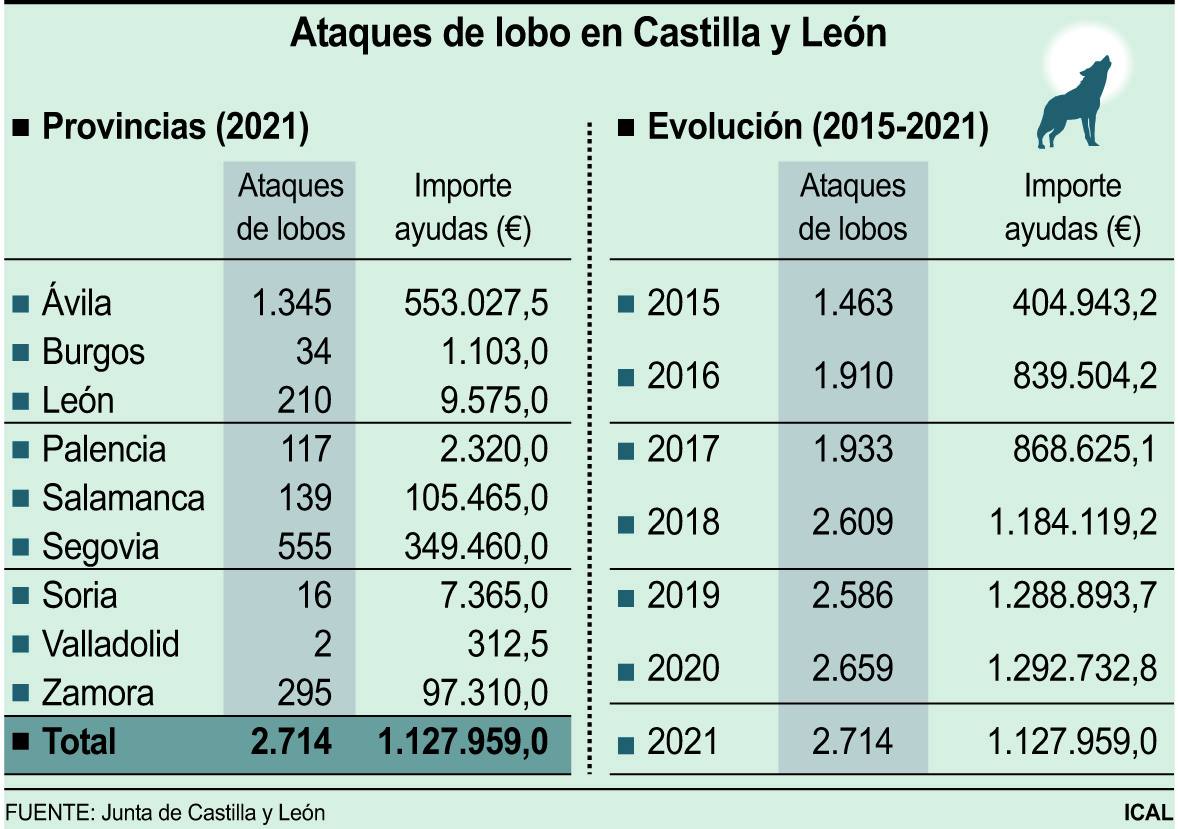 Gráfico de ataques de lobo e indenminaziones.