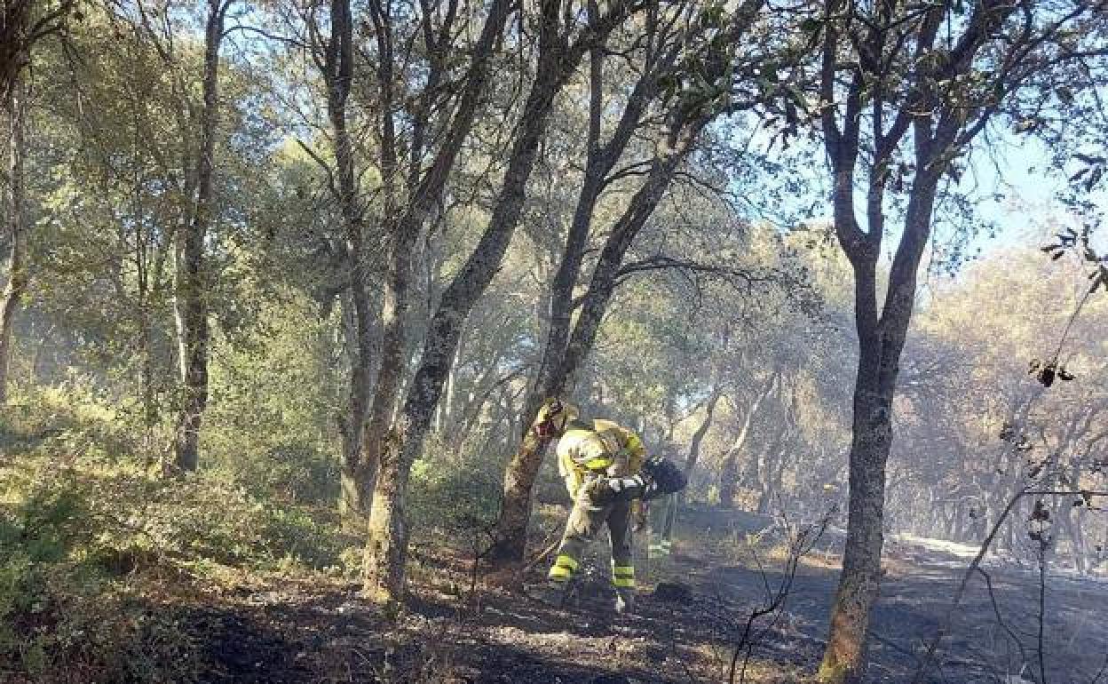 Labores de extinción en el incendio de Villatomil.