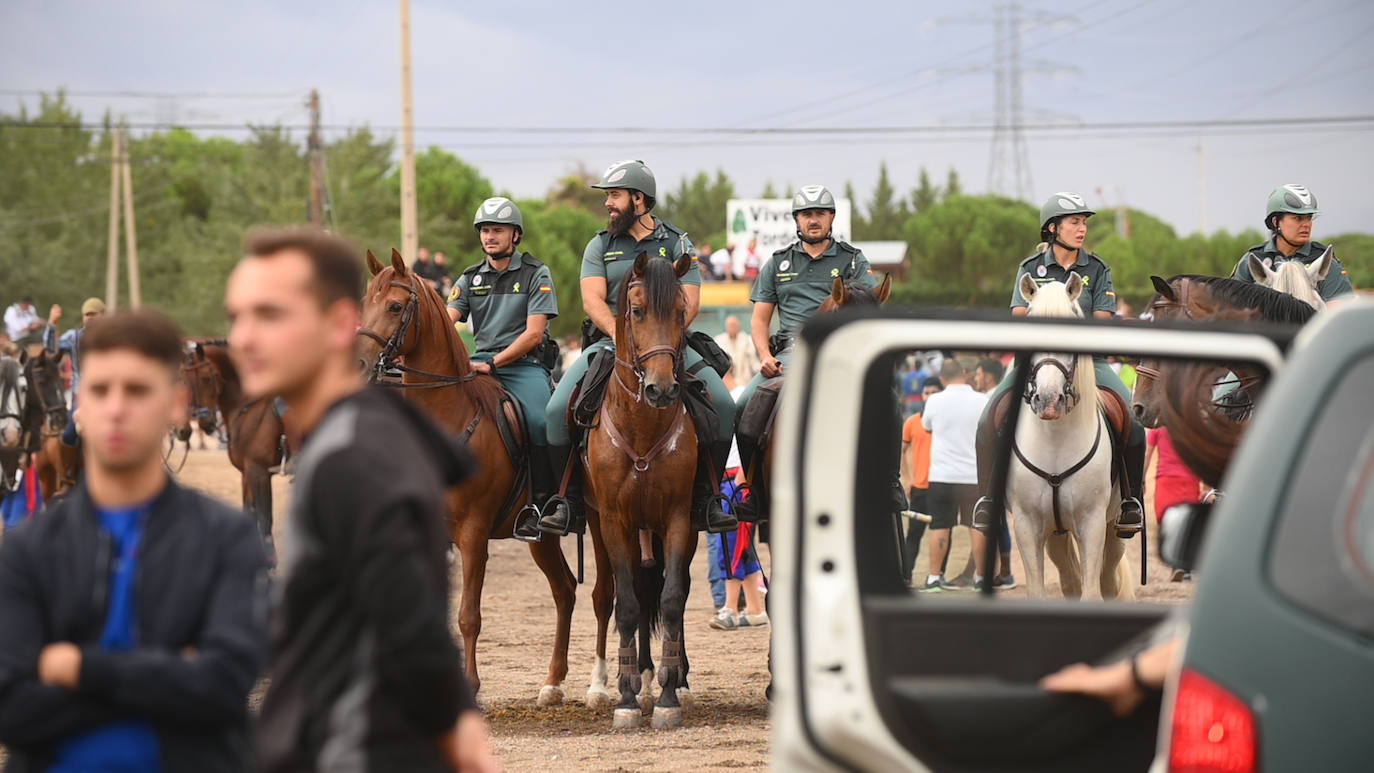 Fotos: El encierro del Toro de la Vega, en imágenes