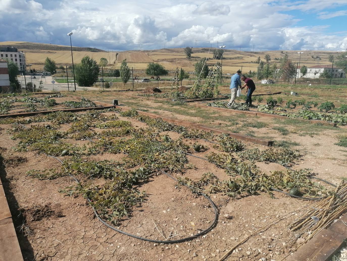 Fotos: Proyecto intergeneracional en los Huertos de Ocio de Fuentecillas