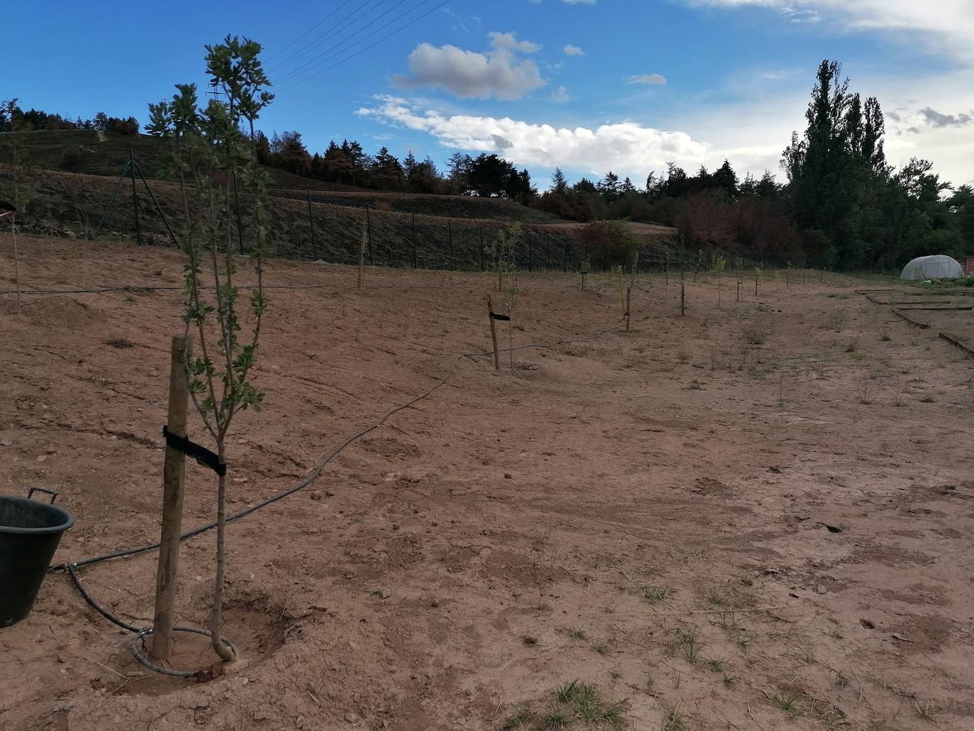 Fotos: Proyecto intergeneracional en los Huertos de Ocio de Fuentecillas