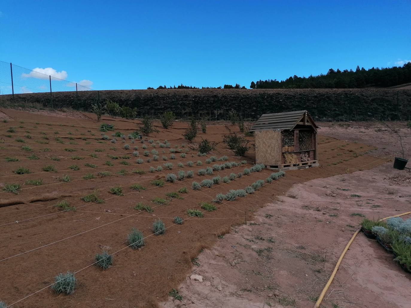 Fotos: Proyecto intergeneracional en los Huertos de Ocio de Fuentecillas