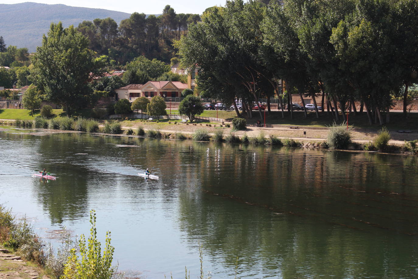 Fotos: Miranda rema a favor del Ebro en la Primera Carrera Empresarial de Piraguas