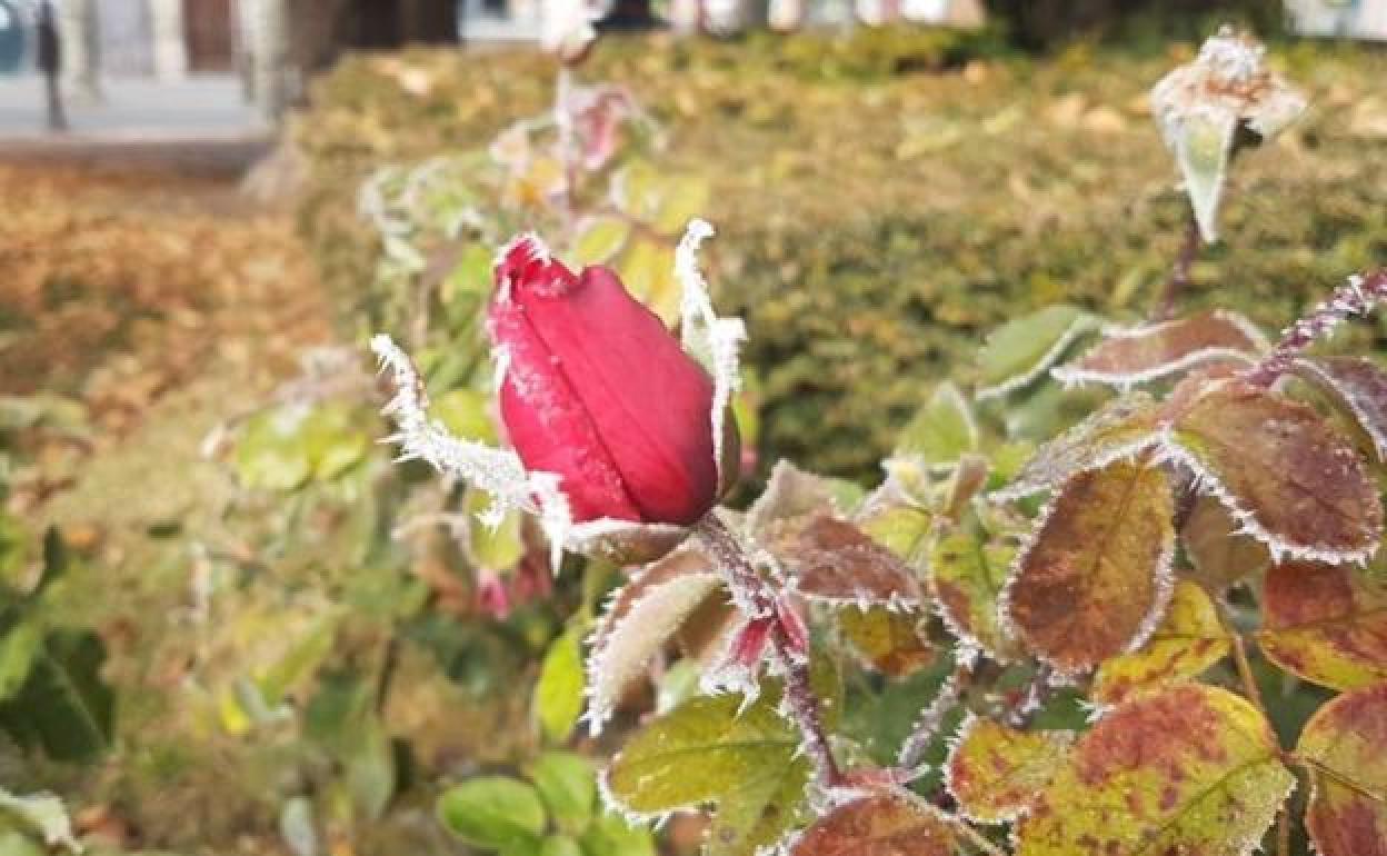 Las temperaturas han bajado de manera notable en Burgos.