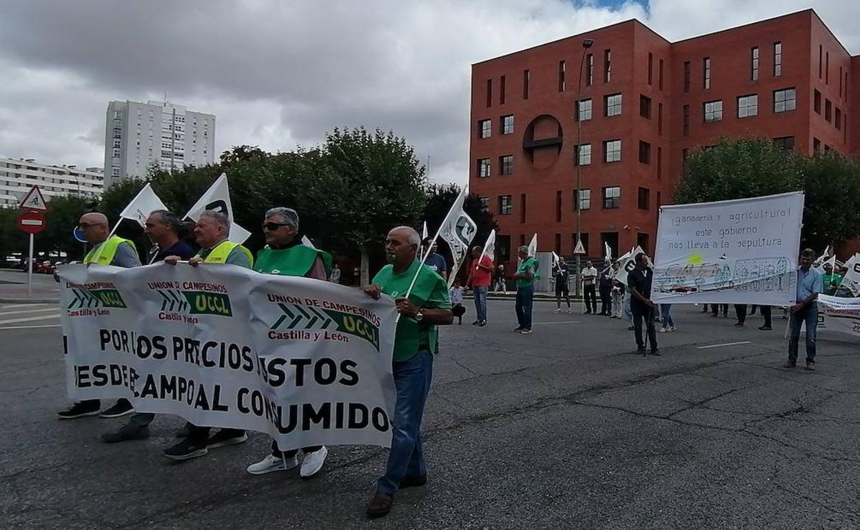 Manifestación del campo en Burgos.