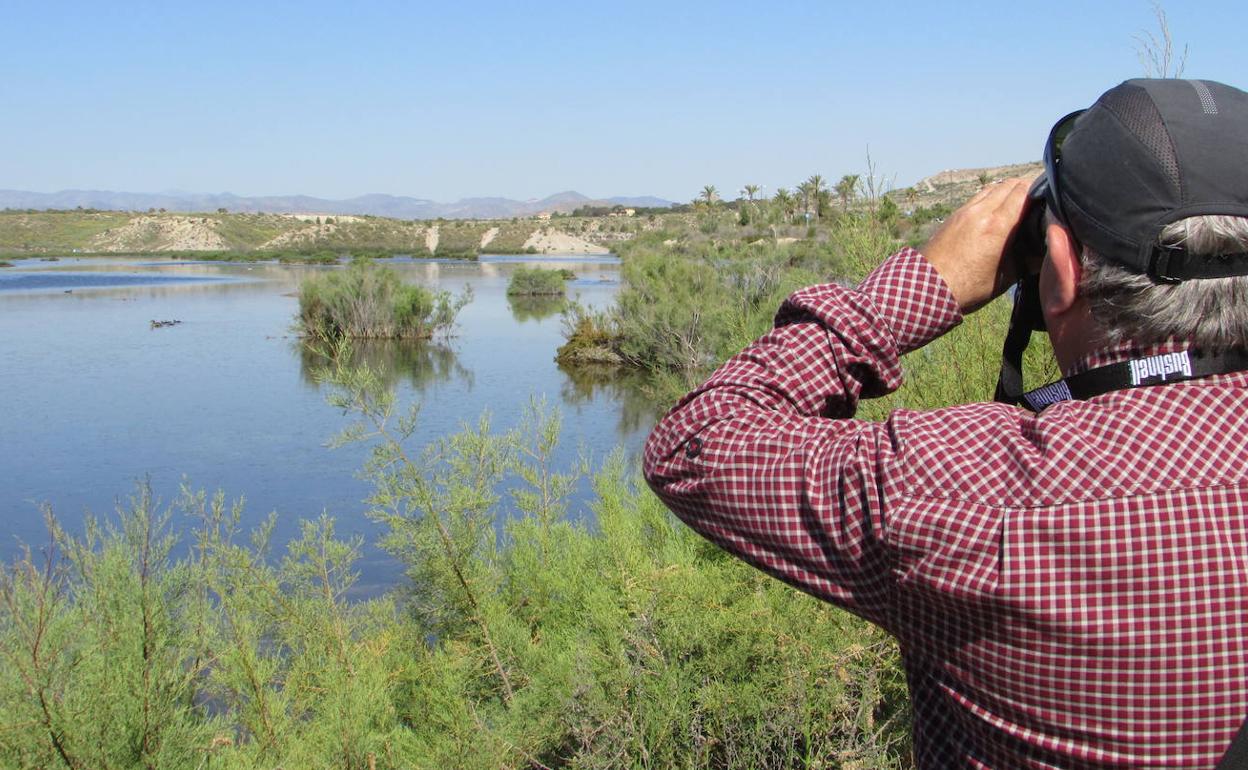 Cinco acuíferos de la provincia presentan contaminación por nutrientes. 