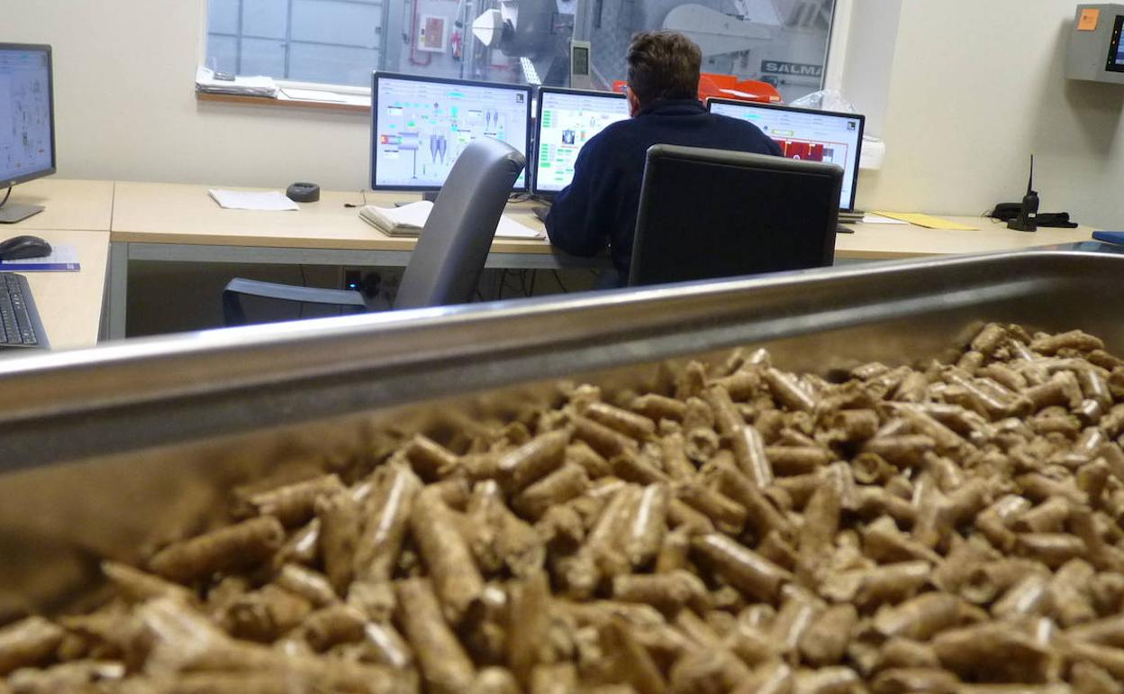 Pellet listos para el consumo en calderas o estufas de biomasa. 