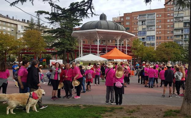 Centenares de personas se congregan en el Parque Antonio Machado con motivo del Paseo Rosa de GIAFyS.