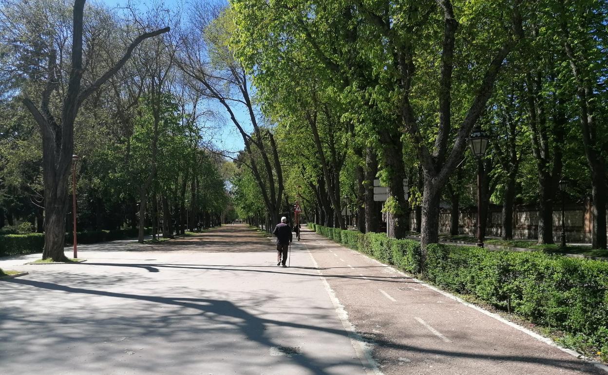 El Parque de la Isla es uno de los puntos negros por la inseguridad que genera atraversarlo de noche.