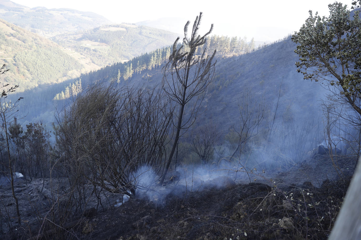 El foco más peligroso del incendio se sitúa en la provincia de Burgos. La UME ha trabajado durante toda la noche junto a un gran despliegue de medios. La mayoría de focos están controlados. 