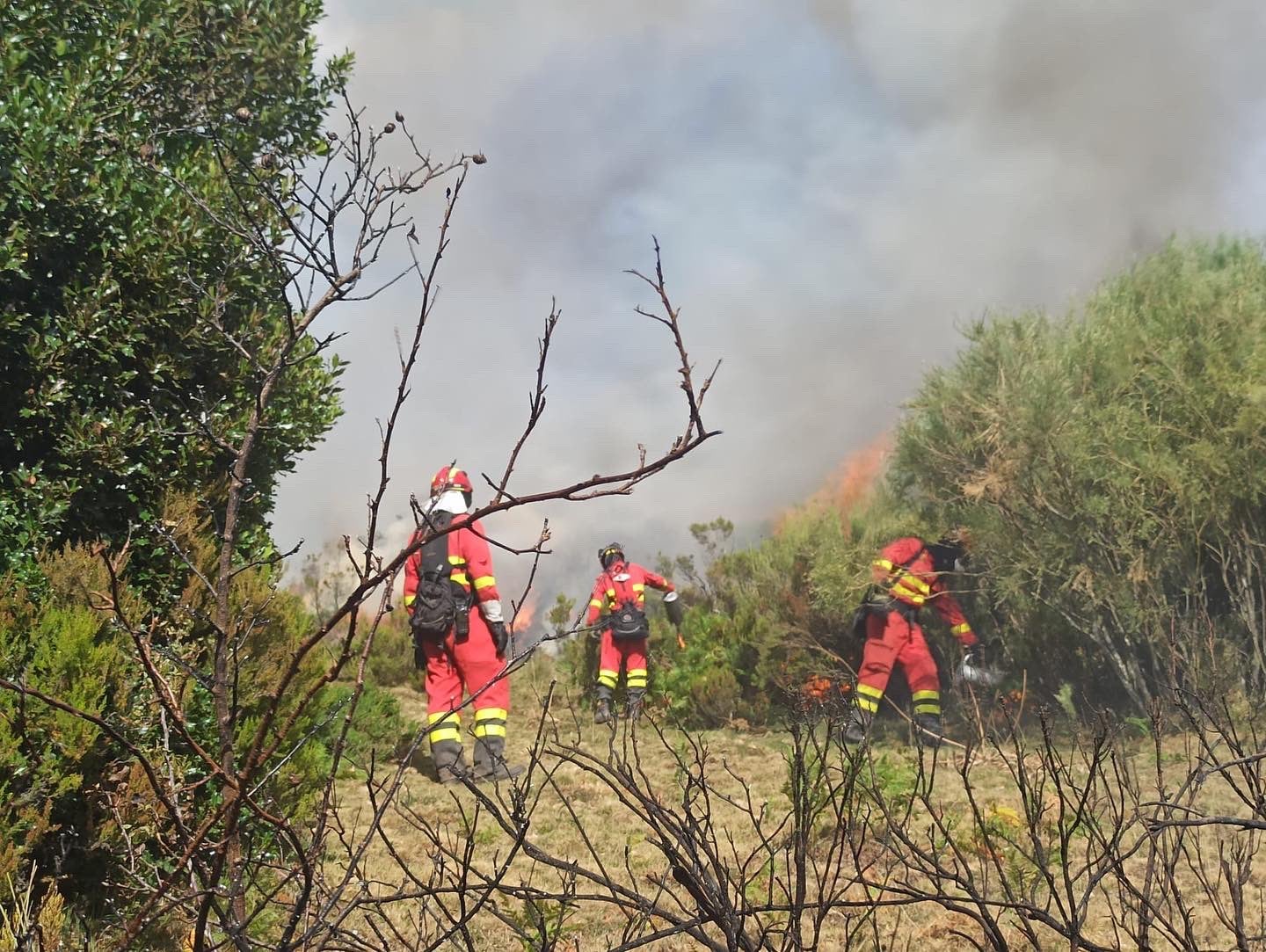 El foco más peligroso del incendio se sitúa en la provincia de Burgos. La UME ha trabajado durante toda la noche junto a un gran despliegue de medios. La mayoría de focos están controlados. 