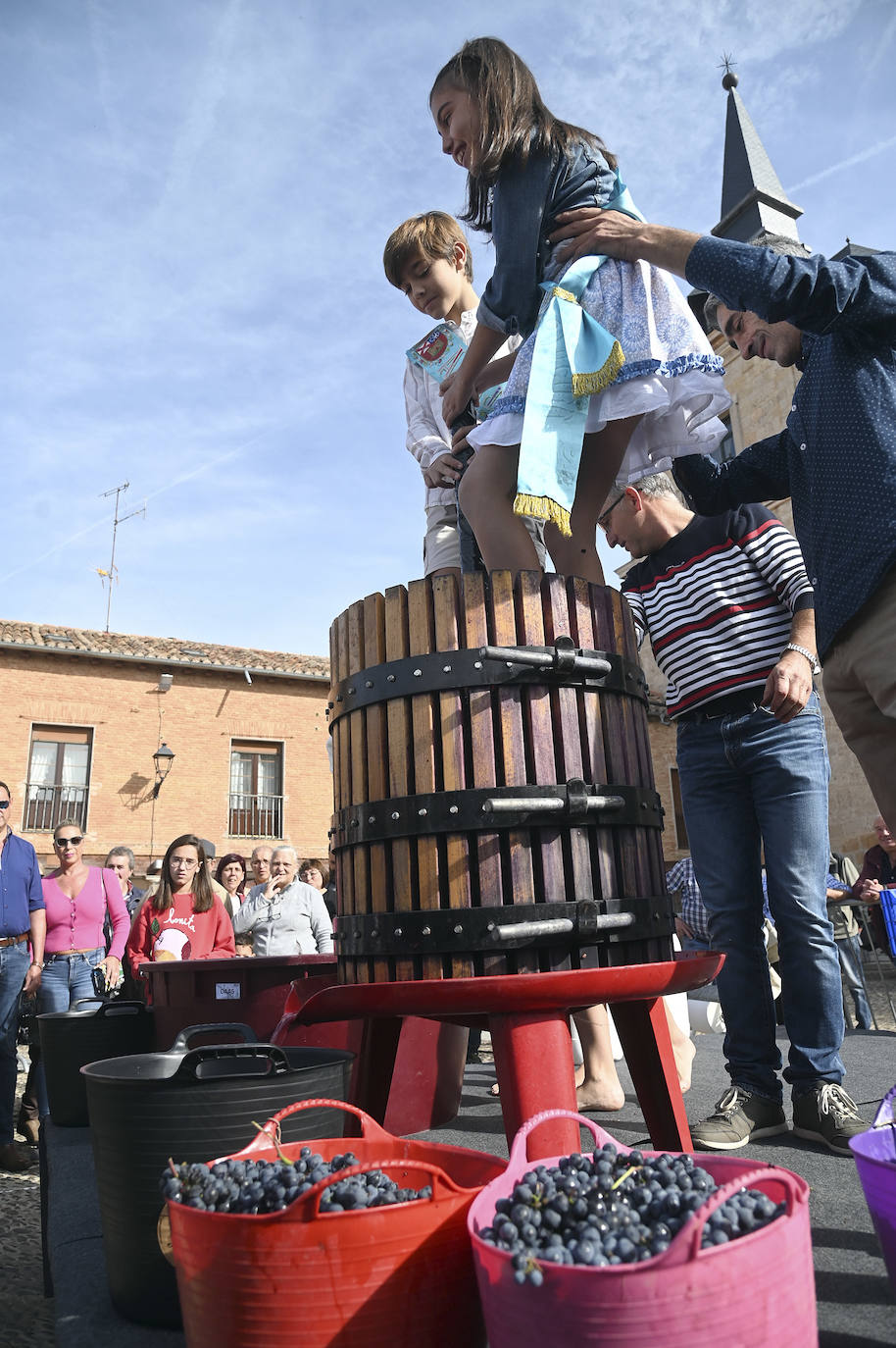 La cosecha del 2022 del Arlanza se caracteriza como «atípica», debido al estrés hídrico experimentado durante el verano, así como por su duración. 