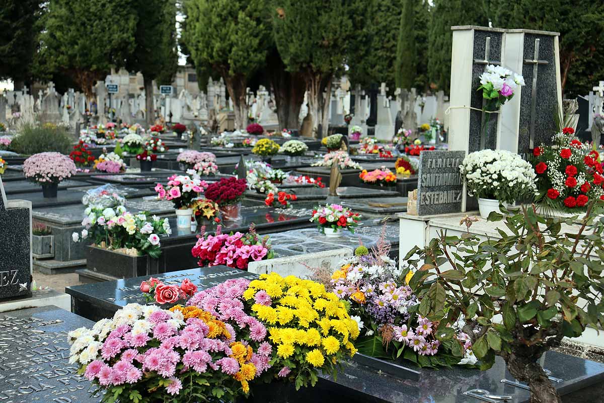 Miles de ramos han llegado hasta el cementerio de Burgos estos días. 