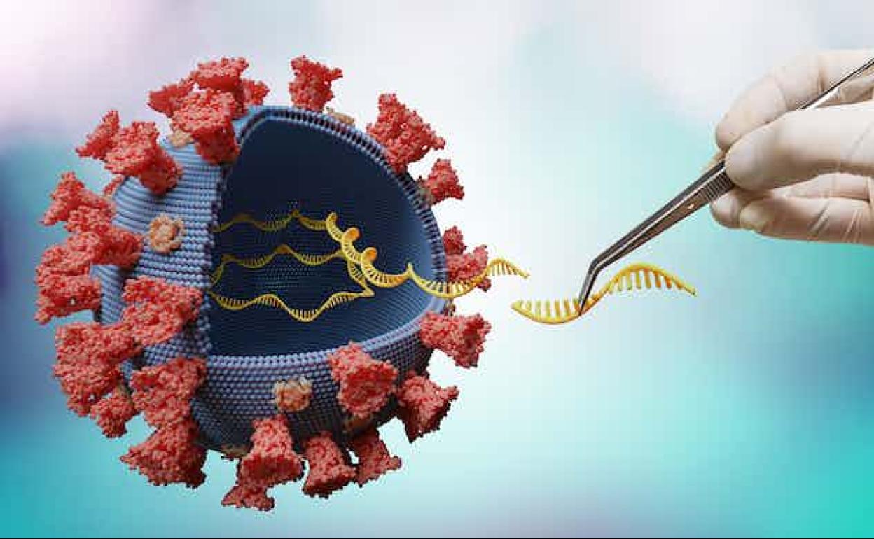 ¿Podemos predecir la evolución de los virus?