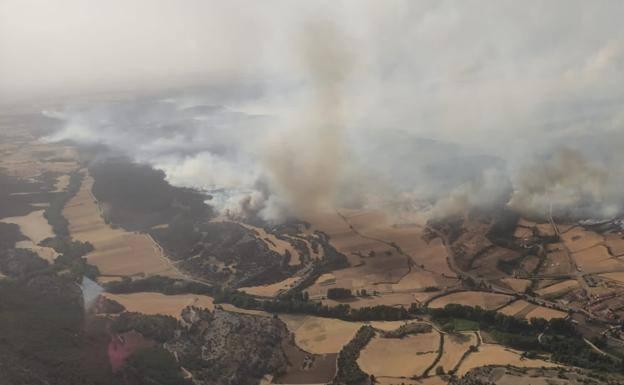 1.000 hectáreas de sabinar se vieron afectadas por el incendio del Quintanilla del Coco 