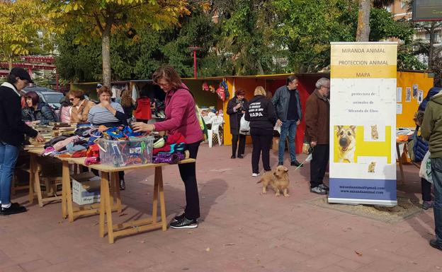 Un rastrillo solidario en defensa de los animales abandonados en Miranda