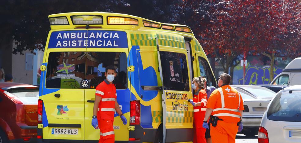 Muere Un Menor En Zaragoza Al Caerle Encima Un Rbol Cuando Se