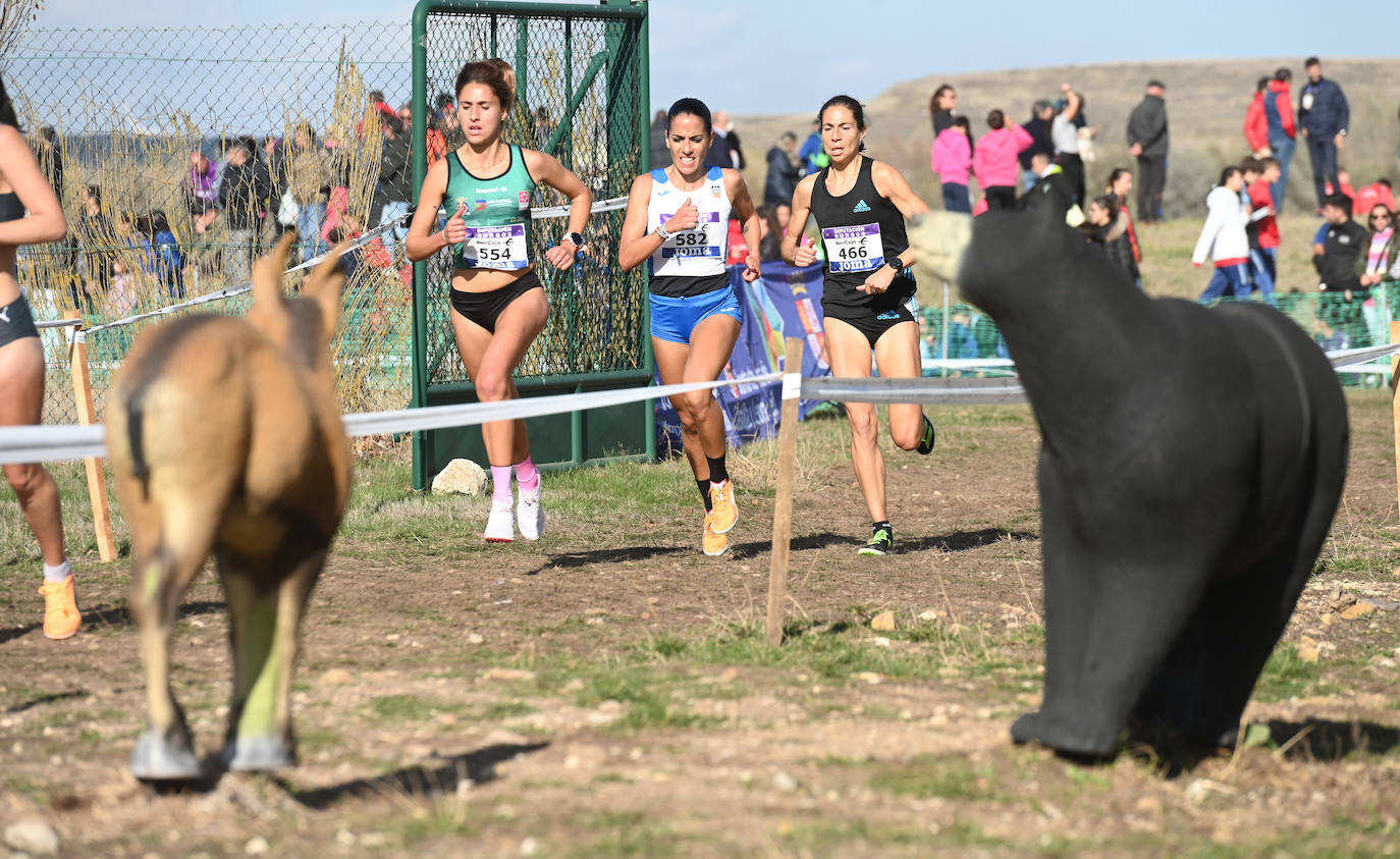 Fotos: XVIII Cross Internacional de Atapuerca