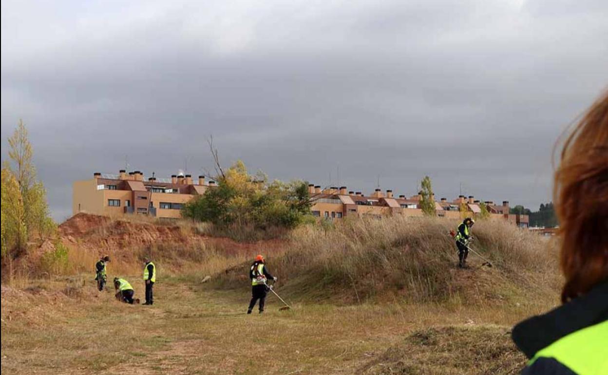 Se contratará personal para la limieza y el desbroce de las zonas verdes de Burgos.