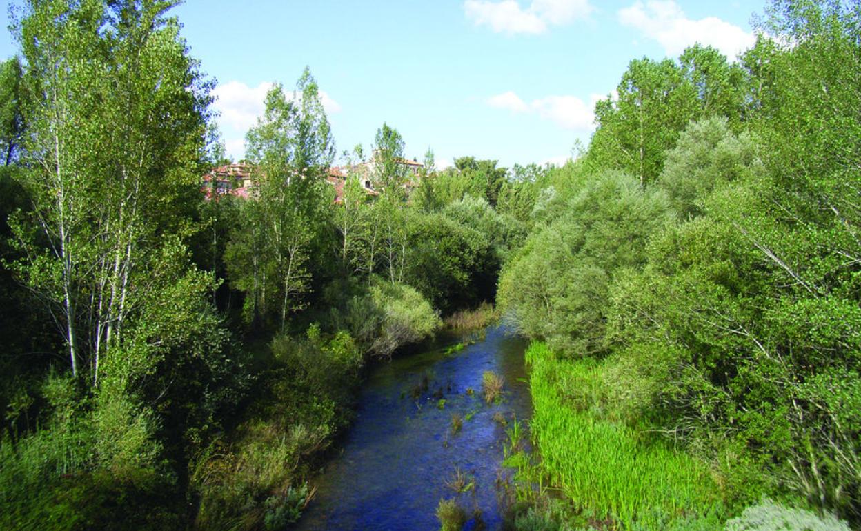 Uno de los paisajes de la Sierra de la Demanda por los que atraviesa la Vía Verde. Río Arlanzón al comienzo de la ruta. 