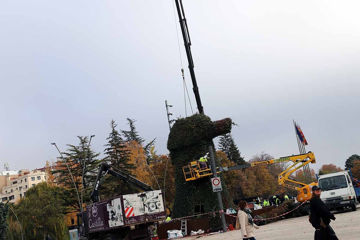 Comienza la retirada del peregrino de flores gigante que la Fundación VIII Centenario de la Catedral instaló hace poco más de un año frente al Fórum Evolución. 