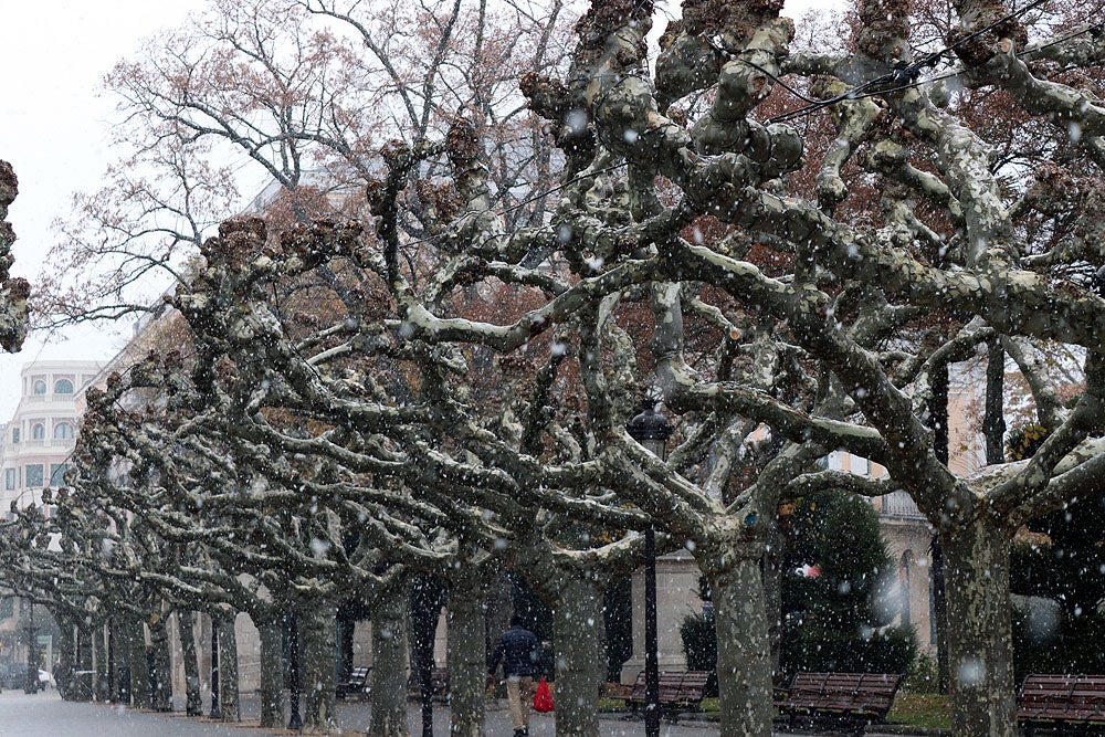 Fotos: Caen las primeras nieves en Burgos