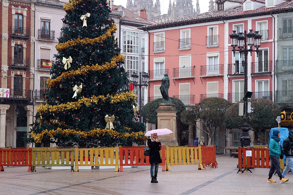 Fotos: Caen las primeras nieves en Burgos